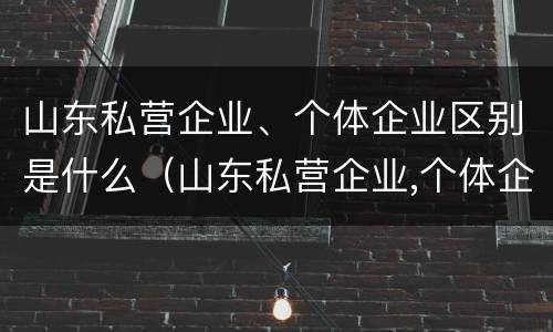 山东私营企业、个体企业区别是什么（山东私营企业,个体企业区别是什么呢）