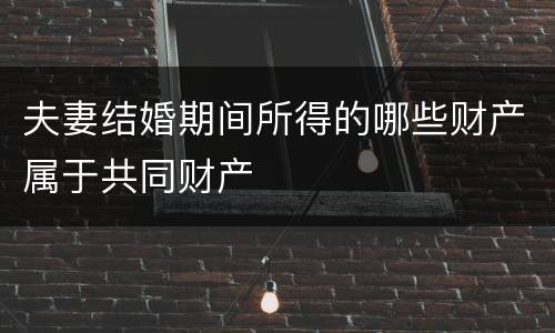 夫妻结婚期间所得的哪些财产属于共同财产