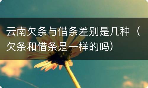 云南欠条与借条差别是几种（欠条和借条是一样的吗）