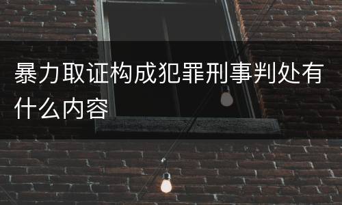 暴力取证构成犯罪刑事判处有什么内容