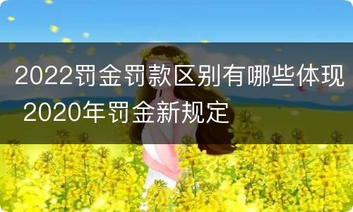 2022罚金罚款区别有哪些体现 2020年罚金新规定
