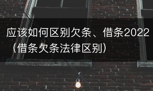 应该如何区别欠条、借条2022（借条欠条法律区别）
