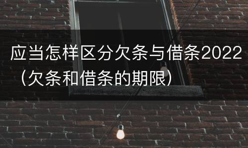 应当怎样区分欠条与借条2022（欠条和借条的期限）
