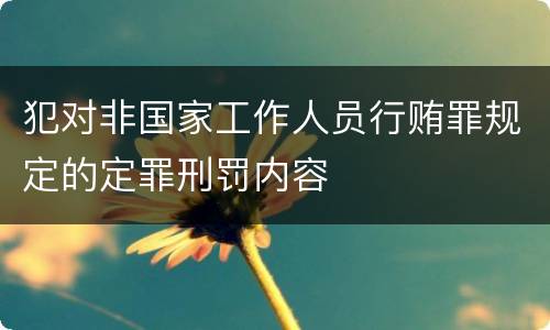 犯对非国家工作人员行贿罪规定的定罪刑罚内容