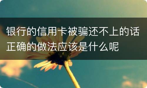 银行的信用卡被骗还不上的话正确的做法应该是什么呢 银行的信用卡被骗还不上的话正确的做法应该是什么呢