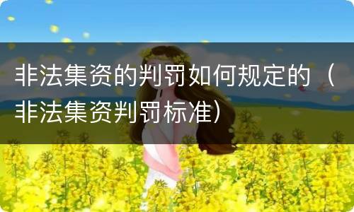 非法集资的判罚如何规定的（非法集资判罚标准）