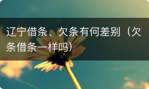 辽宁借条、欠条有何差别（欠条借条一样吗）