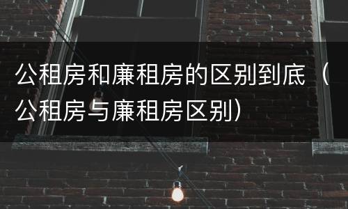 公租房和廉租房的区别到底（公租房与廉租房区别）