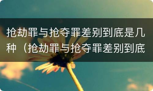 抢劫罪与抢夺罪差别到底是几种（抢劫罪与抢夺罪差别到底是几种情况）