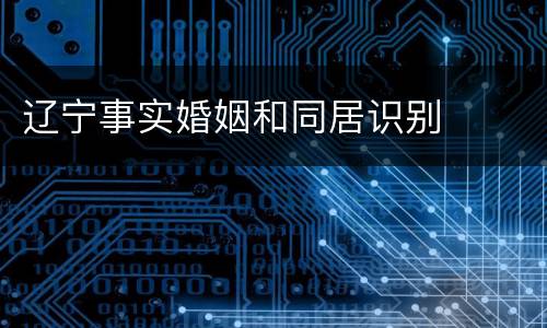 辽宁事实婚姻和同居识别