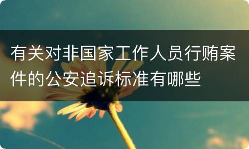 有关对非国家工作人员行贿案件的公安追诉标准有哪些