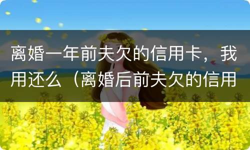 离婚一年前夫欠的信用卡，我用还么（离婚后前夫欠的信用卡会影响我吗）
