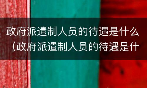 政府派遣制人员的待遇是什么（政府派遣制人员的待遇是什么样的）