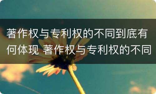 著作权与专利权的不同到底有何体现 著作权与专利权的不同到底有何体现呢