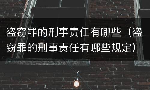 盗窃罪的刑事责任有哪些（盗窃罪的刑事责任有哪些规定）