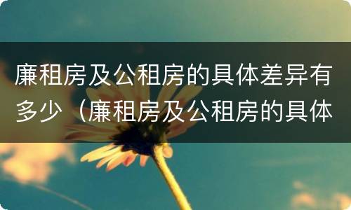 廉租房及公租房的具体差异有多少（廉租房及公租房的具体差异有多少例）