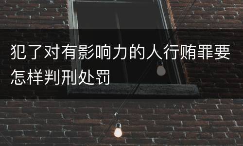 犯了对有影响力的人行贿罪要怎样判刑处罚