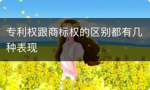 专利权跟商标权的区别都有几种表现