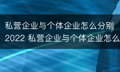 私营企业与个体企业怎么分别2022 私营企业与个体企业怎么分别2022年报税
