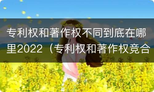 专利权和著作权不同到底在哪里2022（专利权和著作权竞合）