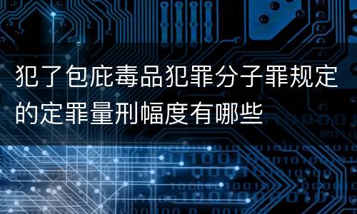犯了包庇毒品犯罪分子罪规定的定罪量刑幅度有哪些