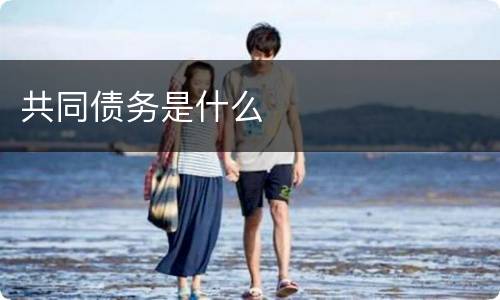 共同债务是什么