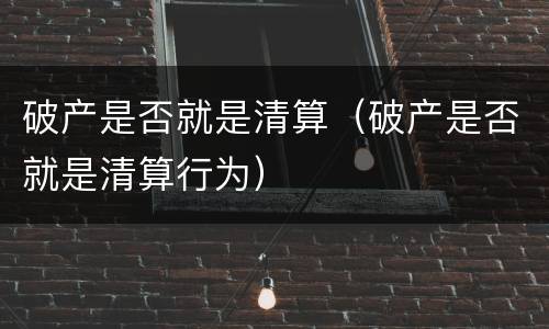 破产是否就是清算（破产是否就是清算行为）