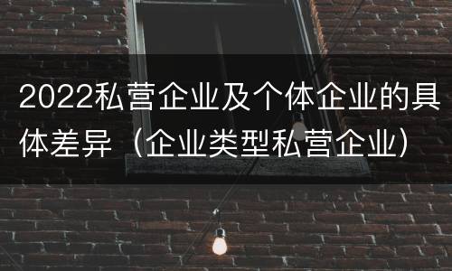 2022私营企业及个体企业的具体差异（企业类型私营企业）