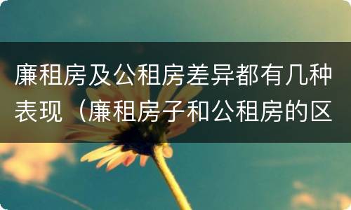 廉租房及公租房差异都有几种表现（廉租房子和公租房的区别）