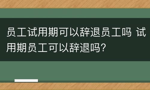 员工试用期可以辞退员工吗 试用期员工可以辞退吗?