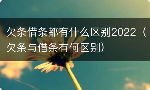 欠条借条都有什么区别2022（欠条与借条有何区别）
