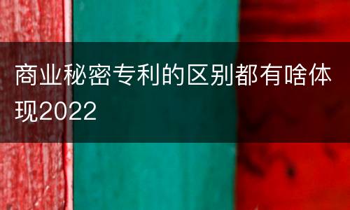 商业秘密专利的区别都有啥体现2022