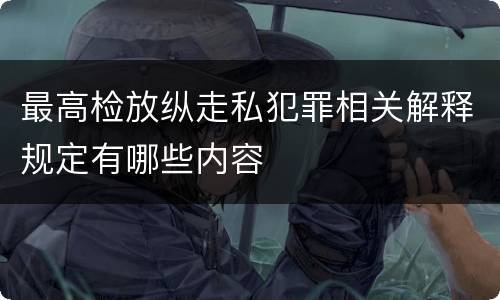 最高检放纵走私犯罪相关解释规定有哪些内容