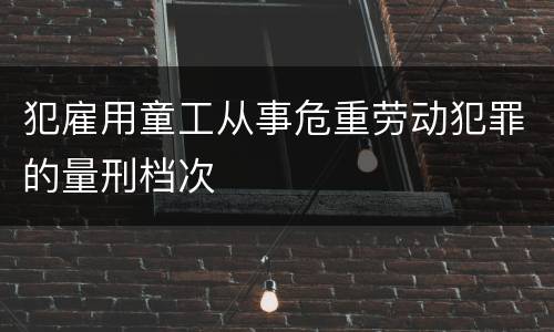 犯雇用童工从事危重劳动犯罪的量刑档次