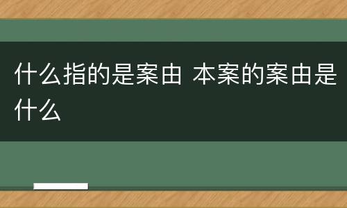 什么指的是案由 本案的案由是什么