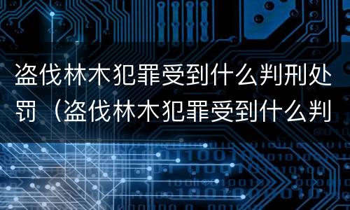 盗伐林木犯罪受到什么判刑处罚（盗伐林木犯罪受到什么判刑处罚案例）