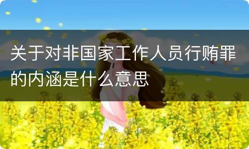 关于对非国家工作人员行贿罪的内涵是什么意思
