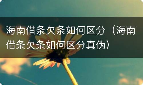 海南借条欠条如何区分（海南借条欠条如何区分真伪）