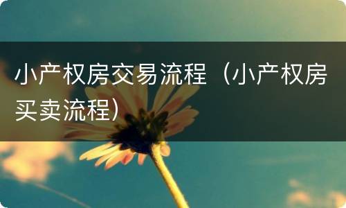 小产权房交易流程（小产权房买卖流程）