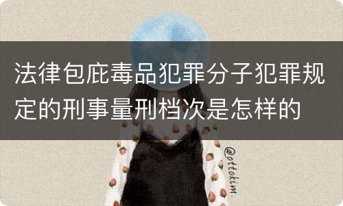 法律包庇毒品犯罪分子犯罪规定的刑事量刑档次是怎样的