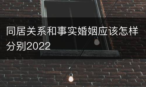 同居关系和事实婚姻应该怎样分别2022