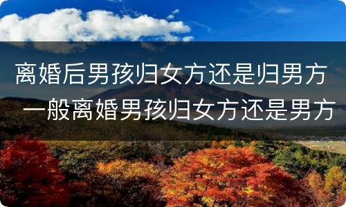 离婚后男孩归女方还是归男方 一般离婚男孩归女方还是男方