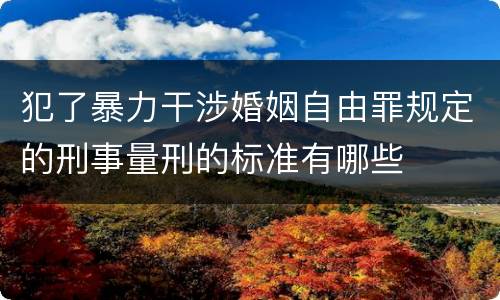 犯了暴力干涉婚姻自由罪规定的刑事量刑的标准有哪些