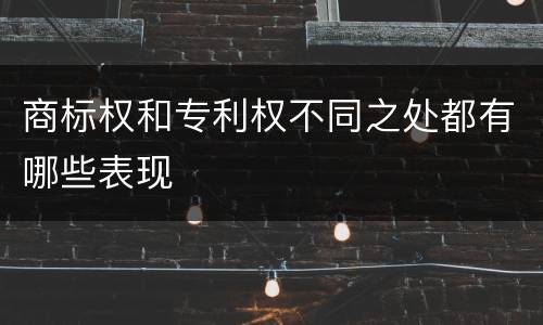 商标权和专利权不同之处都有哪些表现