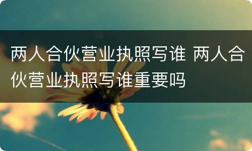 两人合伙营业执照写谁 两人合伙营业执照写谁重要吗