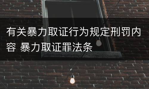 有关暴力取证行为规定刑罚内容 暴力取证罪法条