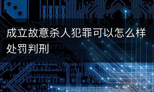 成立故意杀人犯罪可以怎么样处罚判刑