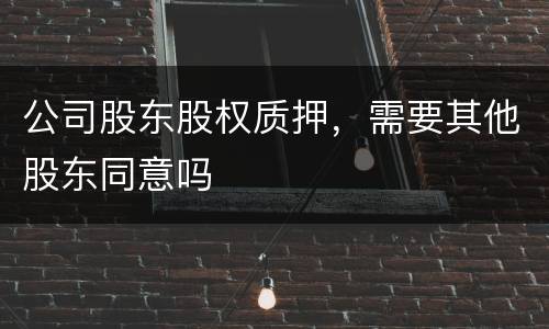 公司股东股权质押，需要其他股东同意吗