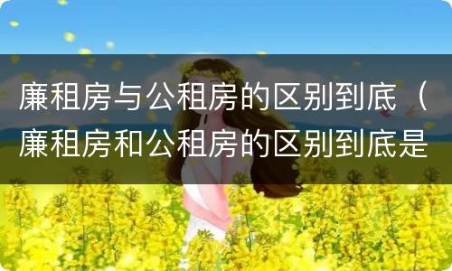 廉租房与公租房的区别到底（廉租房和公租房的区别到底是什么）