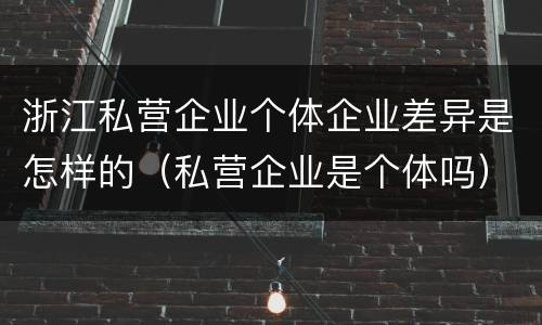 浙江私营企业个体企业差异是怎样的（私营企业是个体吗）